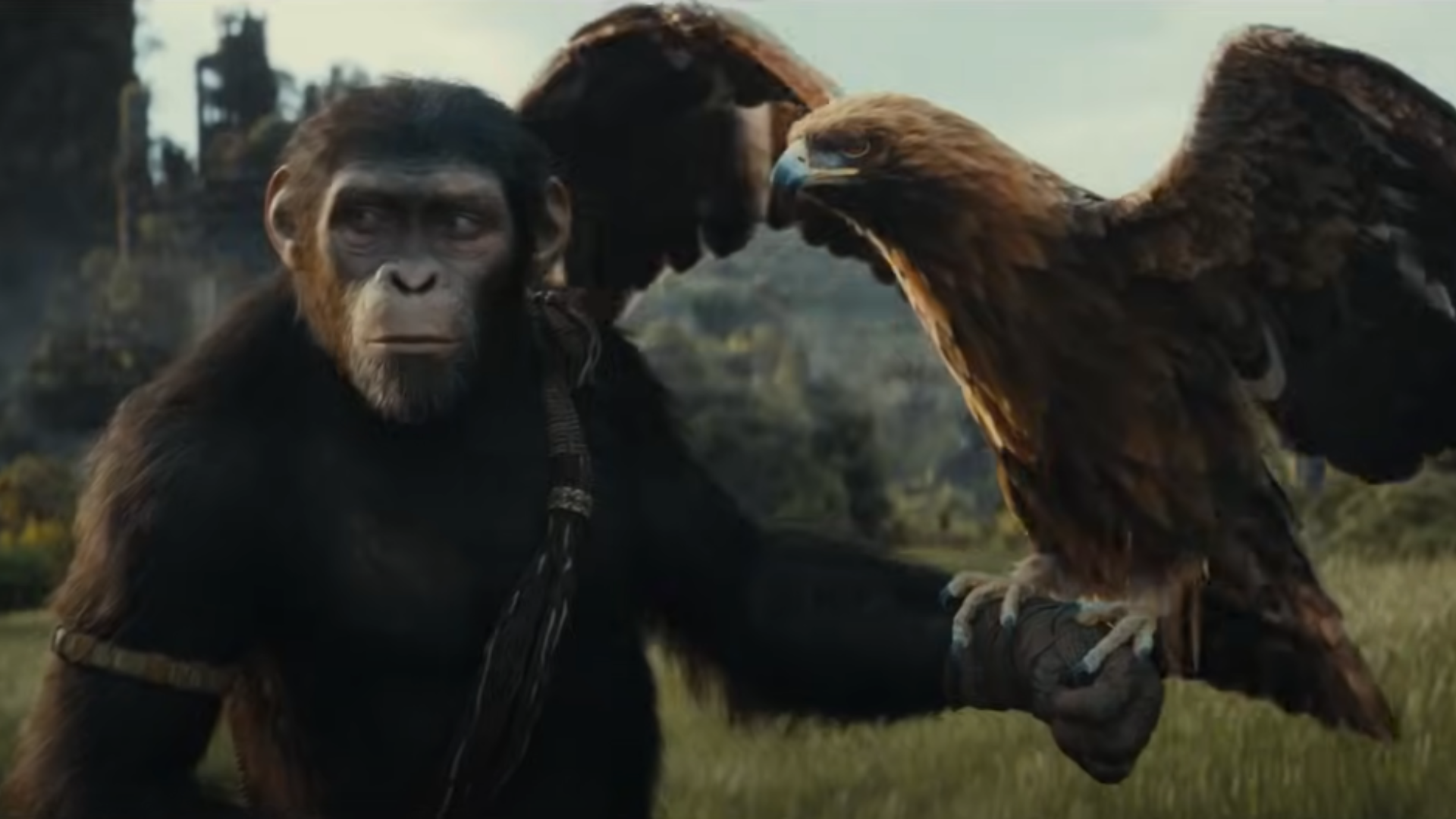 Kingdom of the Planet of the Apes - 20th Century Studios